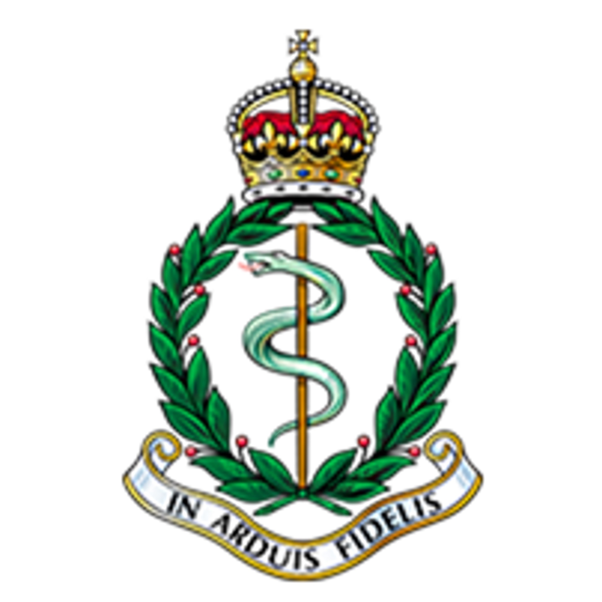 Royal Army Medical Corps badge