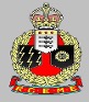 RCEME Cap Badge