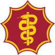 South African Military Health Service badge