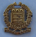 SAOC Cap Badge
